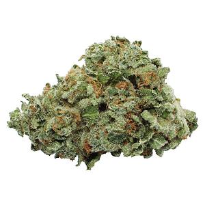 Tam Tams - Honeydew Melon