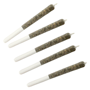 Dime Bag - Puckering Peacock Pocket Rockets Infused Pre Roll