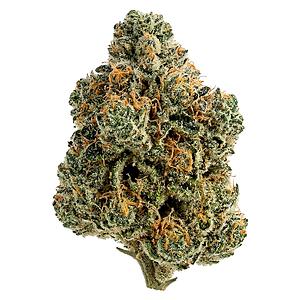 Tiki Madman - Breeders Stash