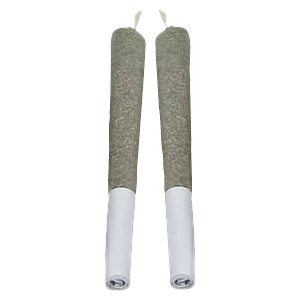 Mariwell - Wi-Fi Mintz Pre-Roll