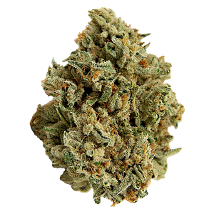 Color Cannabis - Mango Haze