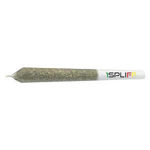 1Spliff - Indica Pre Roll