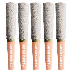 Back Forty - Frosted Icicles Infused Pre-Roll - Peach Lemonade