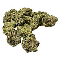 Cannabis Cartel Quads - Little Buddies