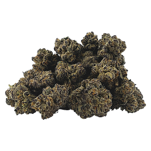 BC 1/2 OZ - Sapphire Desire
