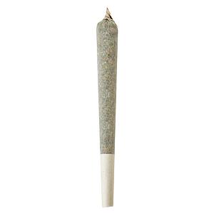 Shed Boys - Lemon Rush Double Infused Pre Roll