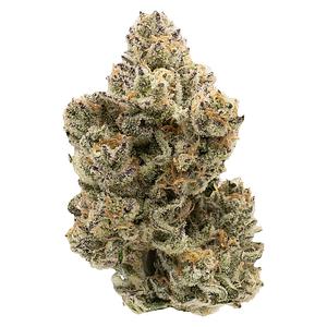 Northern Canna - Pineapple Bang