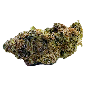 MTL Cannabis - East Coast Dank'z