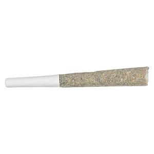 Soul Rebel - The Point Five Pre Roll