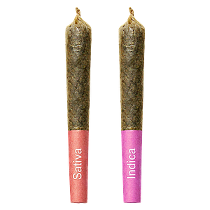 High Priestess - Gemini Sun And Moon Duo Pack Shatter Infused Pre Roll