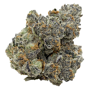 Pistol and Paris - Pink Death