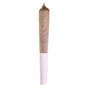 Station House - Canadian Northern Series Pre-Roll