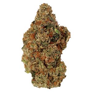 Carmel - Jelly Donut
