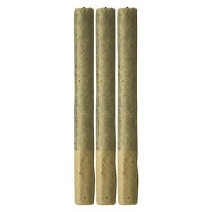 Freedom Cannabis - Reserve Sativa Sunrise Pre Roll
