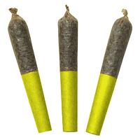 Dab Bods - Jungle Juice 60's+ Dbl Infused Pre Roll