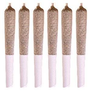 Station House - La Confidential Pre Roll