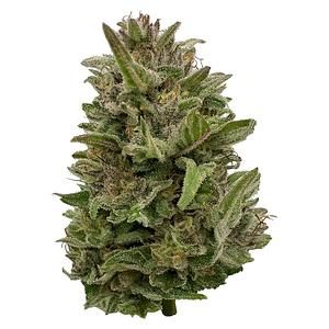 Deelish - Pretty Chill Indica