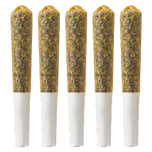 Lite Label Sun-Kissed - Sun-Kissed Pre-Roll