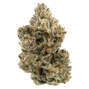 Northern Canna - Pineapple Bang