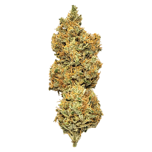 Mendo Select - Royal Moby