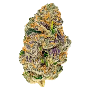Kingston Cannabis Inc. - Montreal St 14's