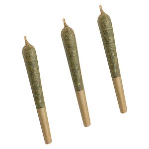 XoPro - Time Wreck Pre-Roll