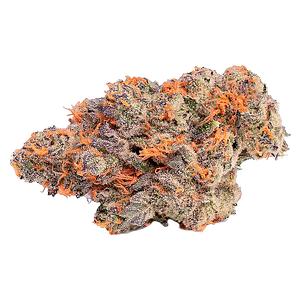 Coterie - Pink Rose #4