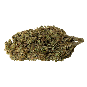 Abide - Lemon Sapphire