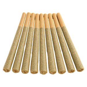 Buzz'd - Stingerz Pre Roll