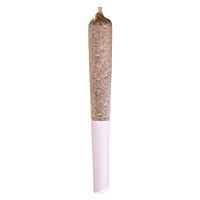 Potluck - Beaver Tail Pre-Roll