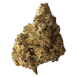 All Nations - Lemon Gelato