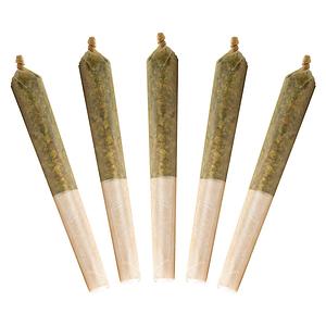 Buddy Blooms - Black Cherry Punch Bubble Hash Infused Pre Roll