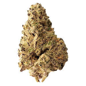 The Loud Plug - Platinum Punch