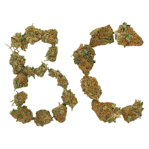 Always Hi - BC Indoor Sativa