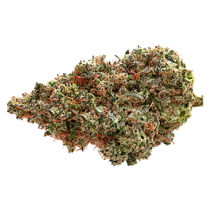 Pure Sunfarms - Neon Lambo