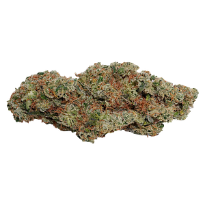 Always Toasted - OG Dutch Dragon