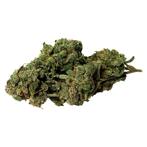 Bambu Select - Double Donny