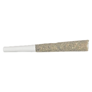 Soul Rebel - The Point Five Pre Roll