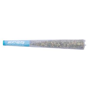 Northern Canna - The Collective Infused Pre-Roll