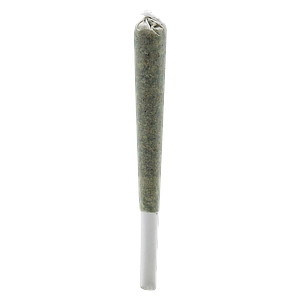 Simply Bare - BC Organic Fire OG Rosin Pre-Rolls