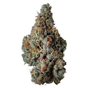 Supernova Farms - Award-Winning Craft Flower