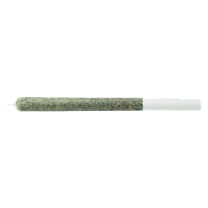 Mill Rite - The Jeffrey Pre-Roll