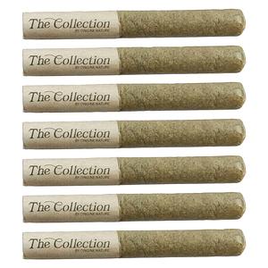 The Collection by Origine Nature - Petroleum Pre-Roll