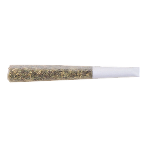 The Loud Plug - Gold Seal Hash Snake Infused Pre Roll