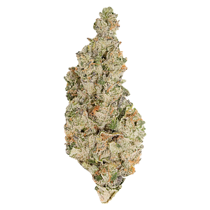 Always Toasted - Hawaiian Face