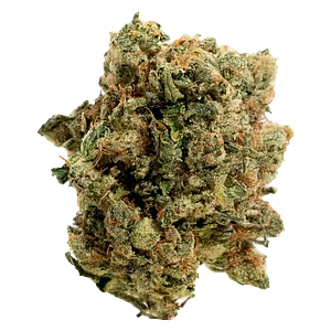 Handy Dandies - Itsy Bitsy Tipsy Whole Flower