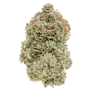 1964 - Organic Stinky Pinky