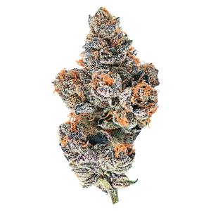 BLK MKT - El Jefe Zoap