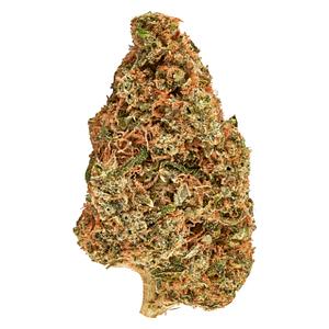 Carnaval - Carnaval Kush