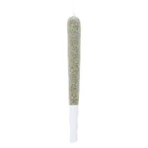 Unit 15 - Black Cherry Soda Pre-Rolled Craft Cannabis